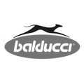 balducci